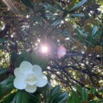 2025 07 06 Blog